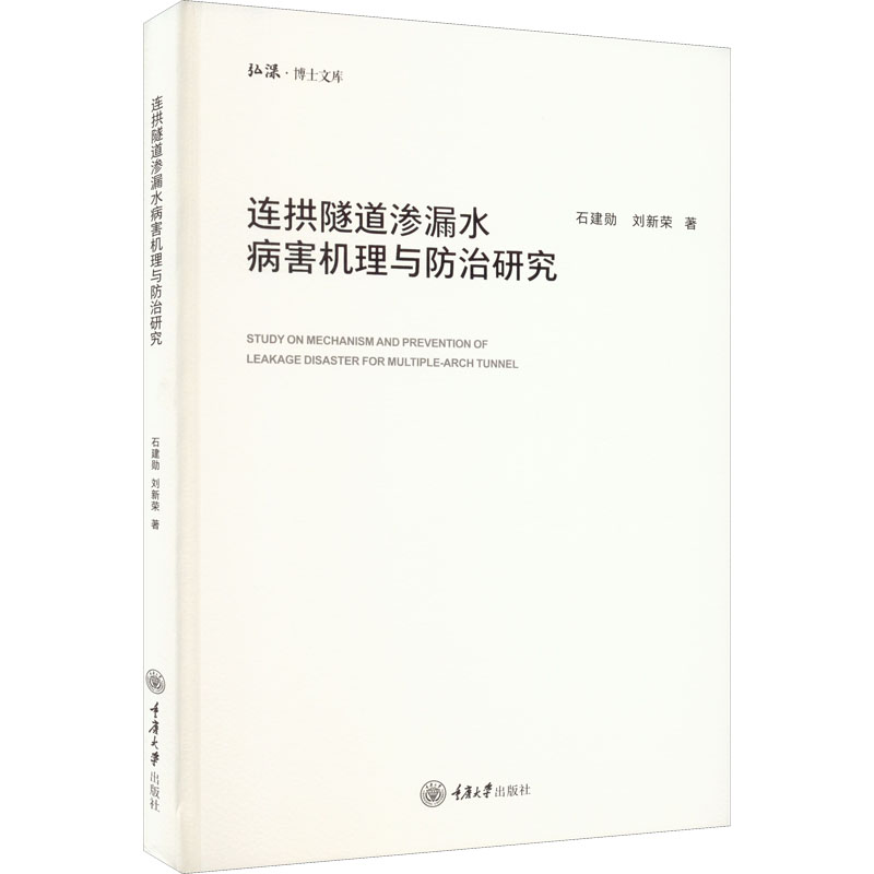 连拱隧道渗漏水病害机理与防治研究高清大图