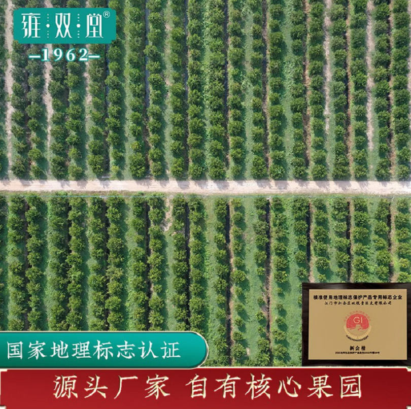 雍双堂 中国色故宫美文创礼盒 三年陈皮礼盒国潮玻璃罐广东特产商务礼 90g 国韵陈香礼盒 ZGS-5017高清大图