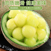 鲜知臻食 海南/山东网纹瓜4.5-5斤彩箱装