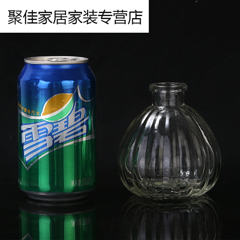 家柏饰(CORATED)花瓶玻璃透明现代简约小清新创意客厅摆件桌面鲜花干花插花瓶花盆高清大图