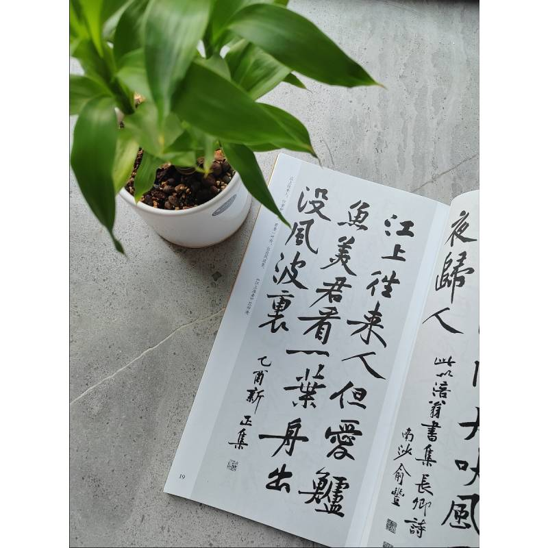 醉染图书黄庭坚行书集字古诗9787807250852高清大图