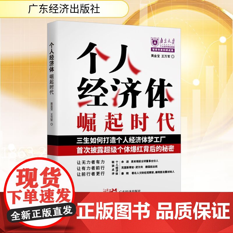 个人经济体崛起时代 黄金宝,王万军 著 企业管理经管、励志 正版图书籍 广东经济出版社高清大图