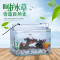 鱼缸灯LED水灯缸灯水族箱防水照明变色全光谱藻缸支架灯