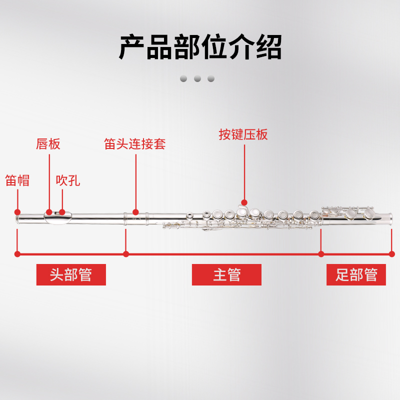 朗动(LMOVE) 长笛乐器LD-602 17开闭双用富贵银长笛学生初学儿童入门考级演奏