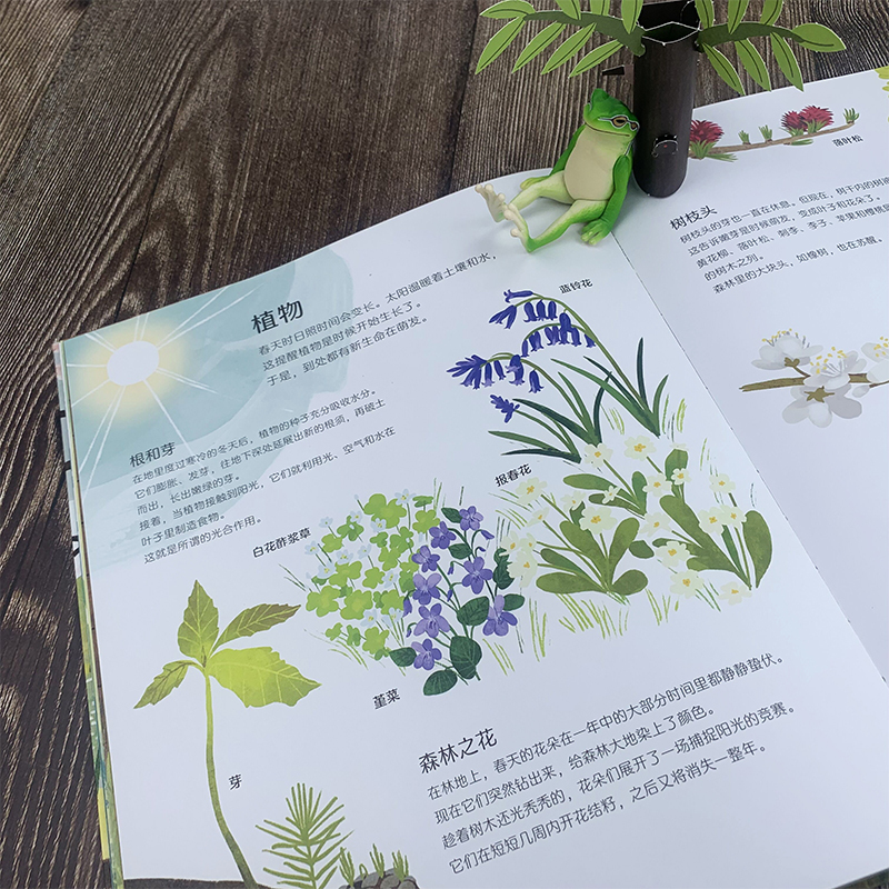 单本全册 [正版]浪花朵朵 好忙的春天 万物生长的奥秘 6-11岁自然笔记科普百科图画书 睡着的冬天四季故事春耕生活