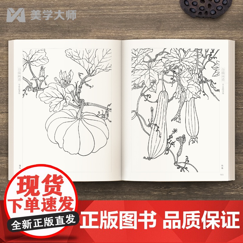2022新书 白描画谱 草虫蔬果篇 中国工笔技法画册集书籍入门初自学者零基础教程材成人手绘临摹勾线名家底稿图大全美术绘画高清大图