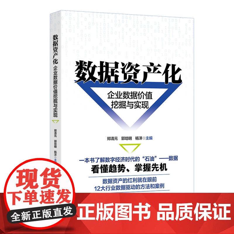 北大正版 数据资产化企业数据价值挖掘与实现 郑清元郭培明杨洋 了解数字经济时代的石油 北京大学出版社9787301360