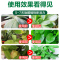 [补贴10%]营养液植物通用型花肥家用盆栽发财树绿萝富贵竹水培花卉绿植肥料
