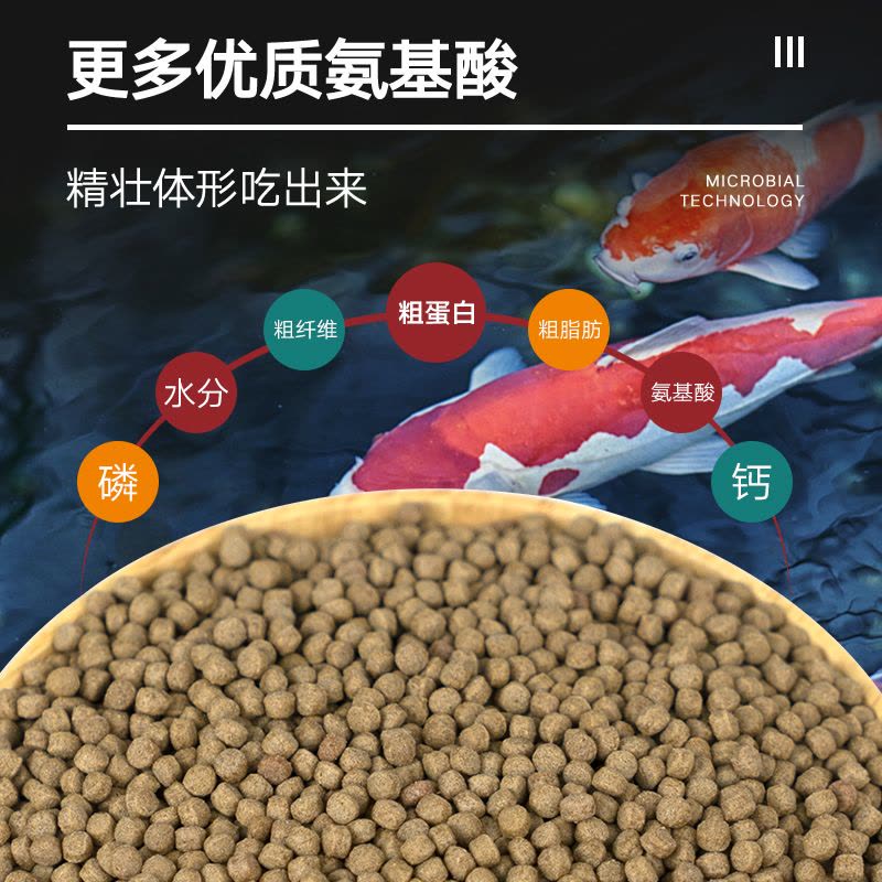 锦鲤鱼金鱼专用鱼食色扬育成饲料家用鱼粮小颗粒上浮不浑水螺旋藻图片