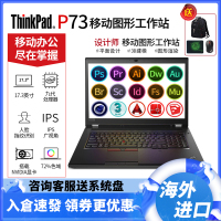 ThinkPad P73 2019新款17.3英寸移动图形工作站商务办公笔记本电脑 i7-9850H RTX3000-6G独显 FHD屏 64G ECC内存+1T固态硬盘