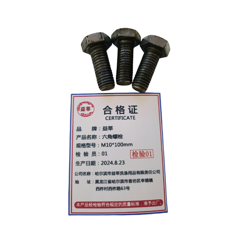 益莘 六角螺栓 M10*100mm 个