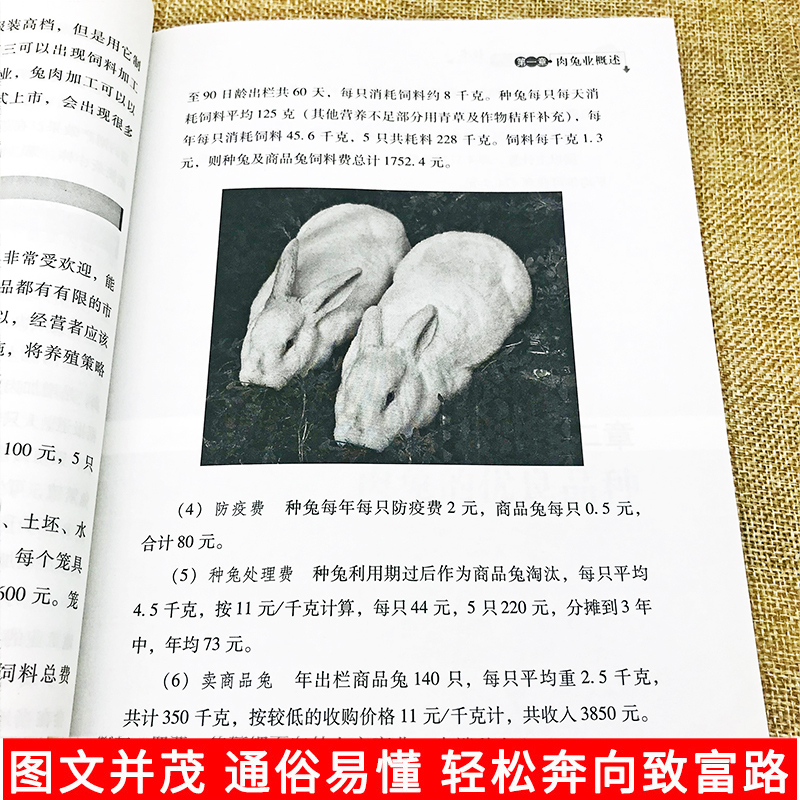 [正版]肉兔标准化生产技术养兔技术大全养殖技术书兔病防治鉴别诊断图谱治疗全书高效科学饲养管理养殖业饲料学畜牧兽医专业