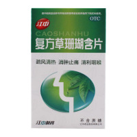 江中复方草珊瑚含片24片疏风清热消肿止痛清利咽喉咽喉炎