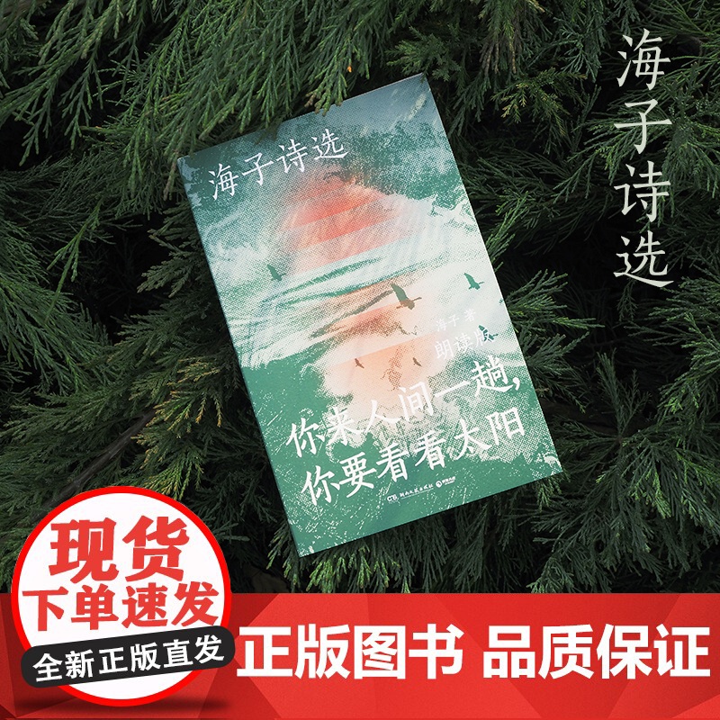 [央视网]海子诗选 你来人间一趟 你要看看太阳 叶清 宝木中阳 路知行 刘北辰等声音大咖联袂献声 向诗人致敬 TJ高清大图