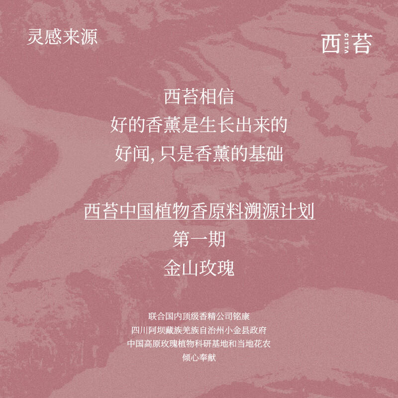 CITTA西苔 居家日用金山玫瑰系列·无火香薰 SEN10471朝露玫瑰高清大图