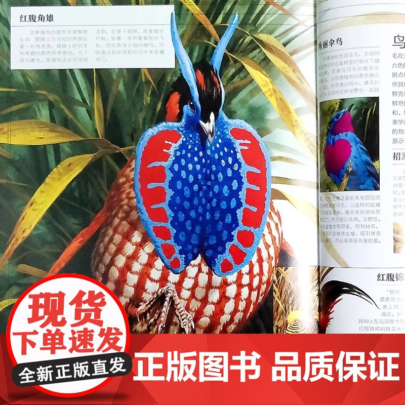 [北斗]自然传奇:动物的生存之道 动物的智慧和行为大百科全书 6-12岁儿童科普书揭秘自然动物生命奥秘图画书籍高清大图