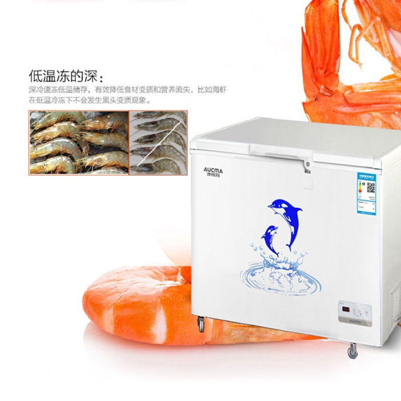 澳柯玛(AUCMA)超低温冰柜商用大容量 冷柜卧式单门家用冷冻柜BC/BD-325ND