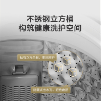 小天鹅(LittleSwan)8公斤变频 波轮洗衣机全自动 健康免清洗直驱变频 健康除螨洗 TB80V23DB