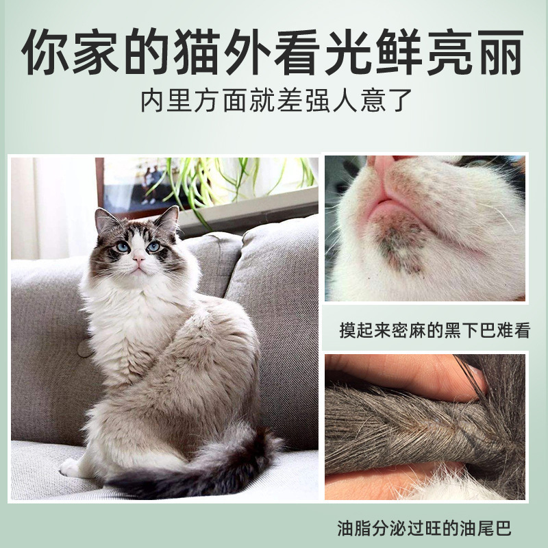 雪貂留香 猫多爱去油膏100g 英短布偶猫 化油膏 氨基酸配方 猫咪下巴猫尾巴 香波浴液