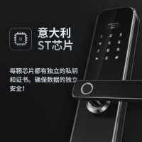智雅家S101智能指纹家用防盗门密码锁通用型指纹锁全自动手机远程开门防盗门锁 哑光黑