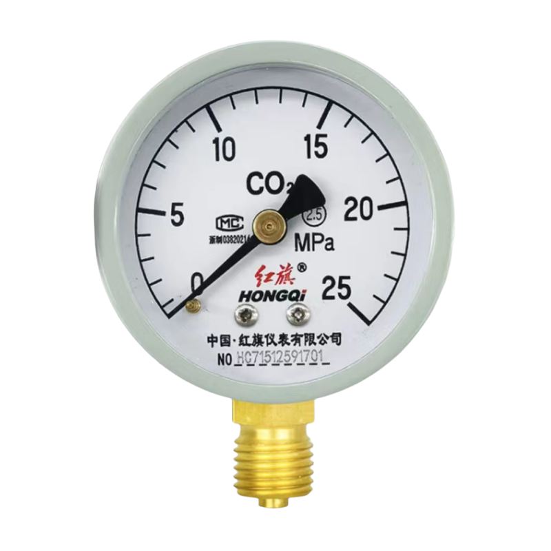 红旗 二氧化碳压力表定制检测款Y-60（备注压力值）块