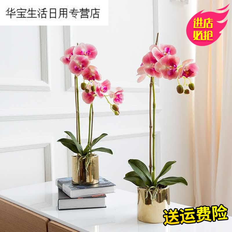 帝梦香假花仿真花盆栽摆设装饰假花花艺仿真花蝴蝶兰绢花花瓶手感客厅家居装饰餐桌