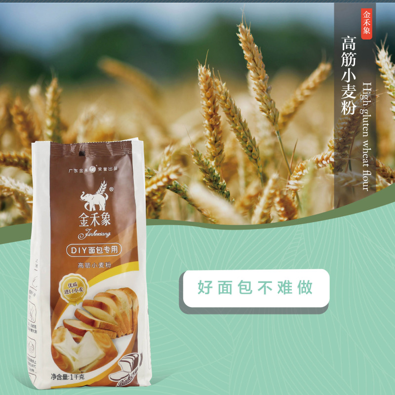 金禾象DIY面包专用粉高筋小麦粉1kg 家庭烘焙原料小包装面粉