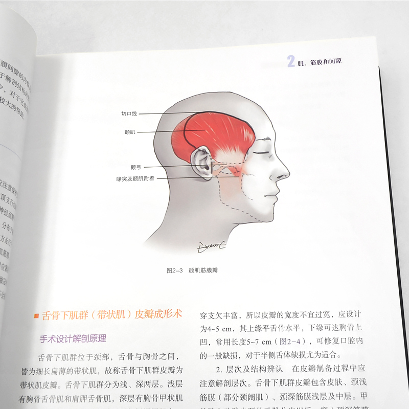 [正版]书籍 口腔颌面外科临床解剖学(第2版) 张志愿 俞光岩 口腔专业类书籍 口腔颌面外科临床应用 口腔解刨学 口腔颌高清大图