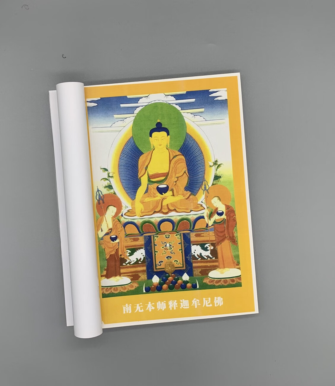 藏传佛教书籍 经书密宗 剑轮修心法 法护大师 利器之轮高清大图