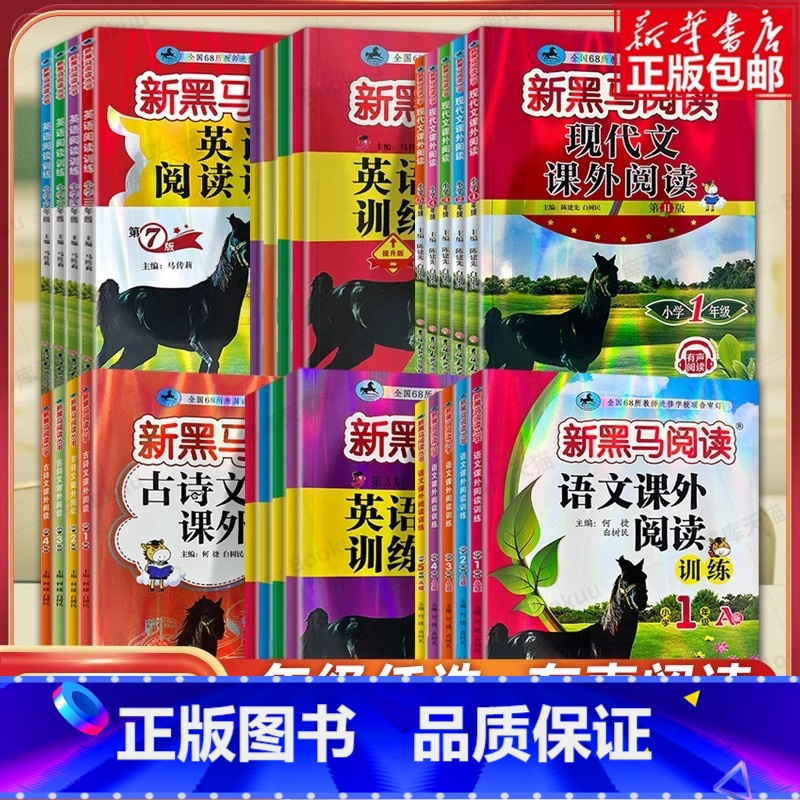 24版新黑马阅读丛书 语文阅读同步拓展训练 小学二年级 [正版]2024新版新黑马阅读一二三四五六1-6年级上下册语文英