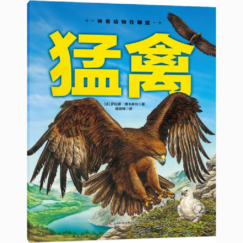 正版新书]神奇动物在哪里-猛禽萨比娜·博卡多尔9787557878207高清大图