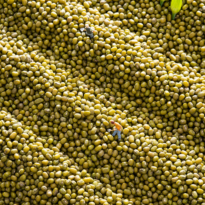 北纯 有机绿豆(罐装)740g*2罐高清大图