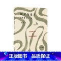 【正版】镜子与迷宫（俄罗斯文化青年学者、翻译家张猛随笔集，带你走进迷人的俄罗斯文化深处。汪剑钊、刘文飞诚挚文
