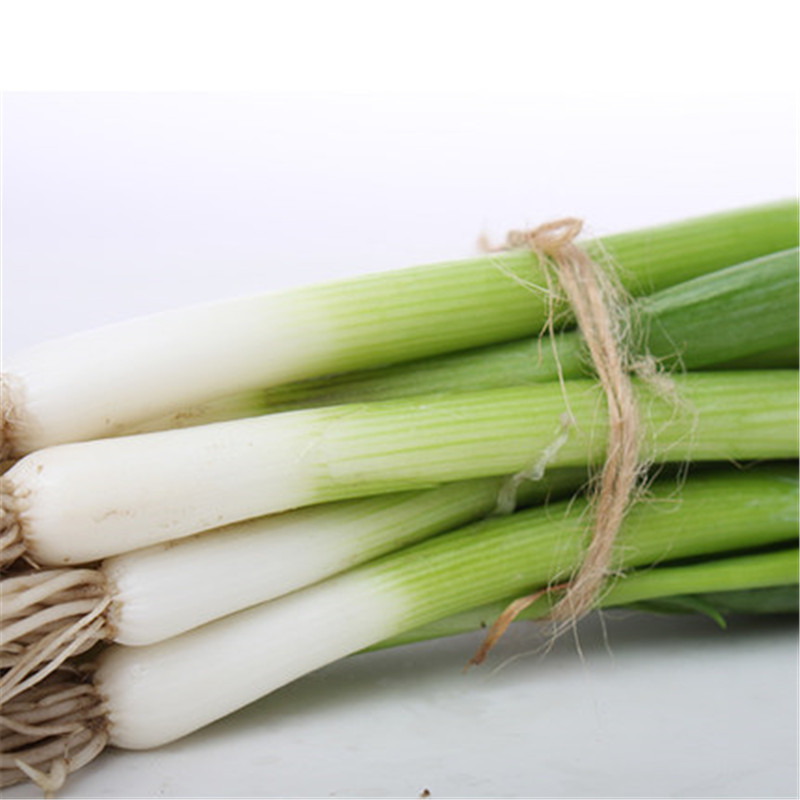 新鲜小葱东北特产东北小葱农家肥白露葱1kg2斤
