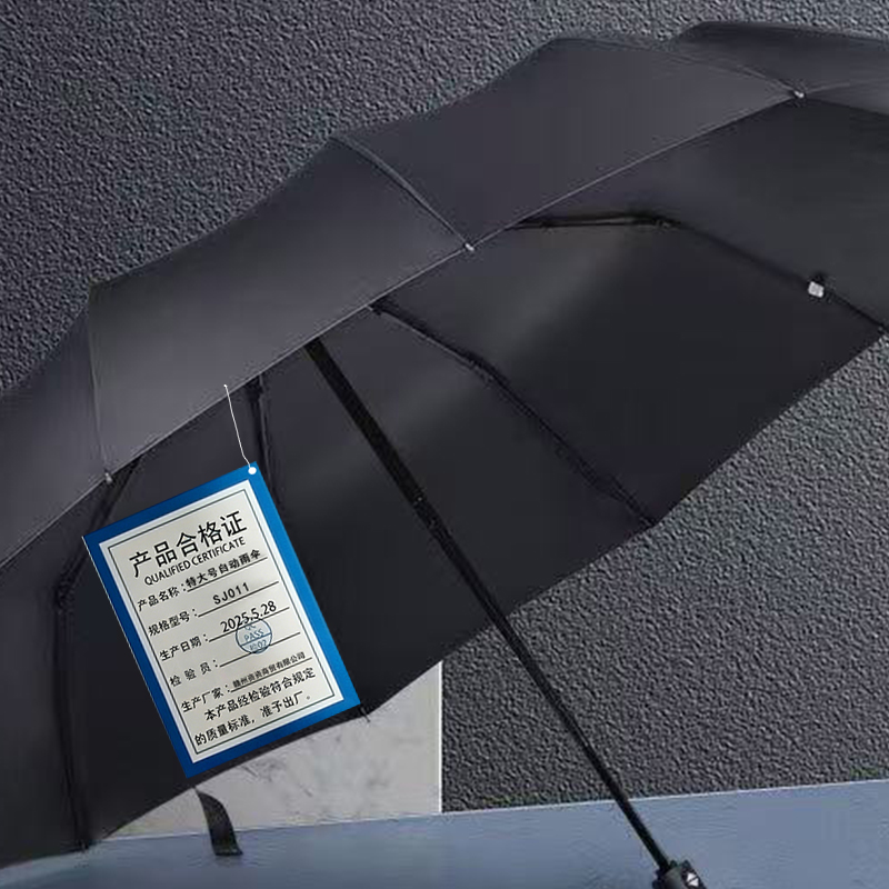 水枸 雨伞 SJ011 把高清大图