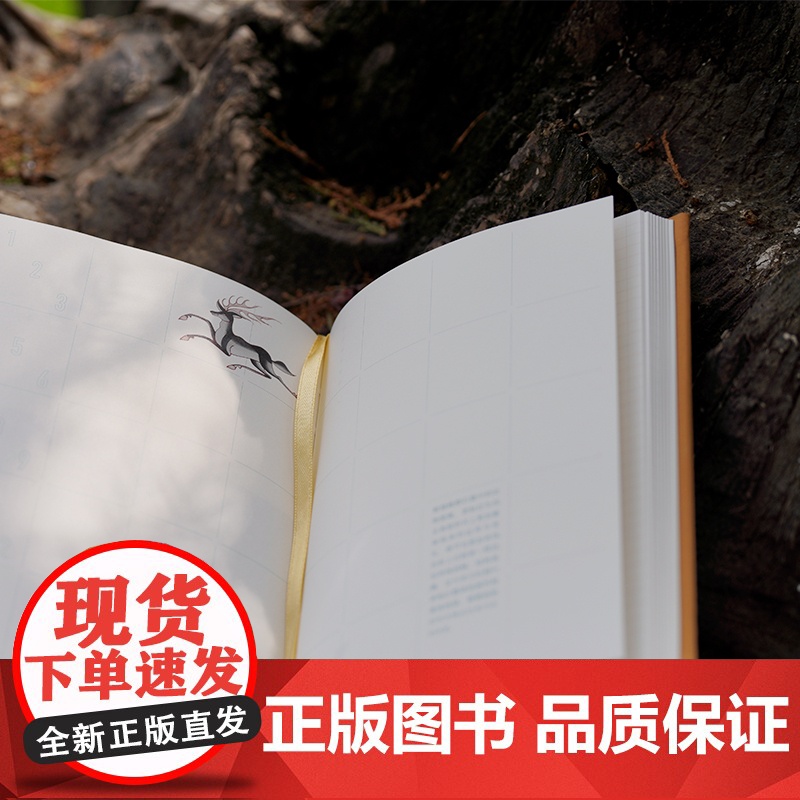 花开与敦煌:常沙娜眼中的敦煌艺术笔记本套装版高清大图