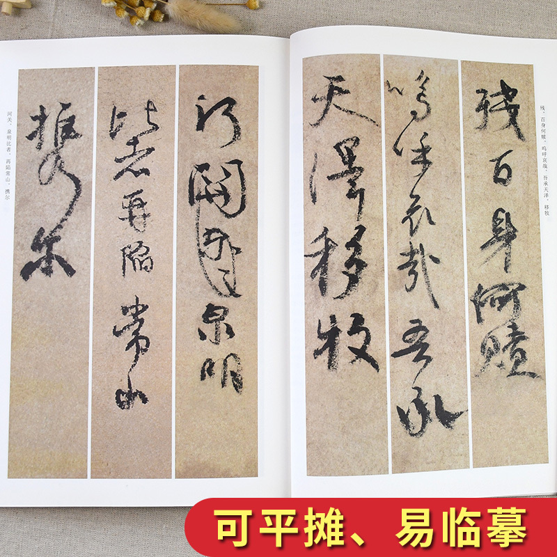 [正版]颜真卿祭侄文稿 历代碑帖高清放大对照本 颜体行书毛笔字帖书籍书法成人学生临摹练古帖 简体旁注讲解 湖北美术出