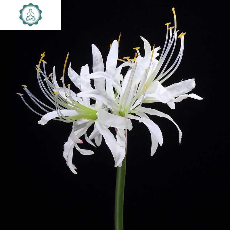 彼岸花仿真花假花曼珠沙华插花花束古风汉服手拿拍摄道具装饰昙花封后白色仿真植物图片 高清实拍大图 苏宁易购