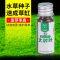 迷你对叶水草鱼缸装饰水草种子水草泥前景草真水草懒人造景速成草