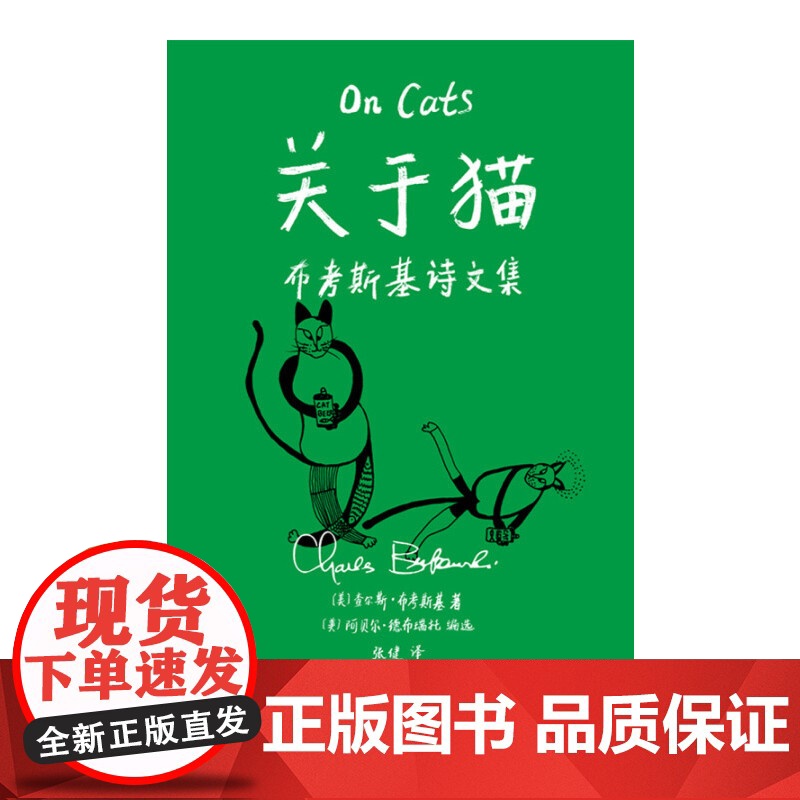 关于猫高清大图