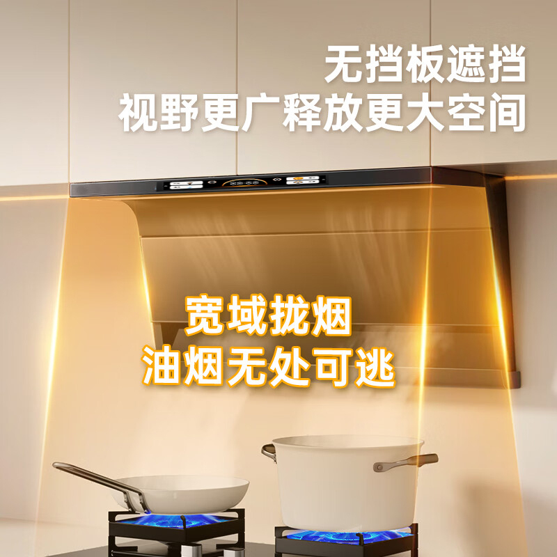 迎燕Inyan强力净吸变频油烟机CXW-260-J4-8B大吸力轻音低耗能欧式设计高清大图