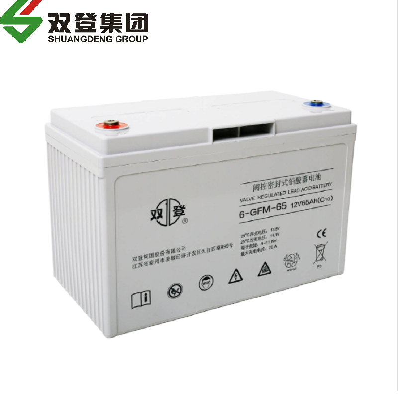 双登铅酸蓄电池6-GFM-26 含配件高清大图