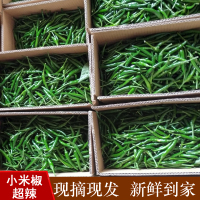 新鲜 青小米椒特辣 青辣椒小尖椒蔬菜朝天椒 小米辣椒 5斤