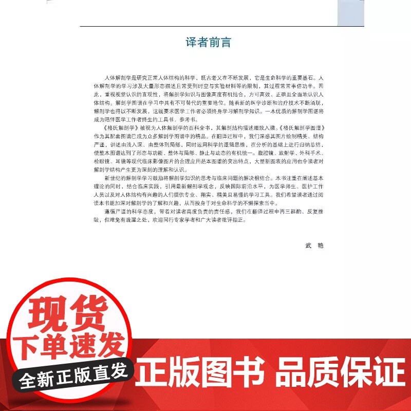 格氏解剖学图谱(第3版) 北京大学医学出版社 (美)里查德·德瑞克 等著 近1000张精美解剖图的视觉指导下 识别身体的高清大图