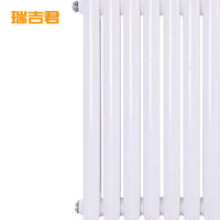 瑞吉君 钢制暖气片 6030-1800mm 柱