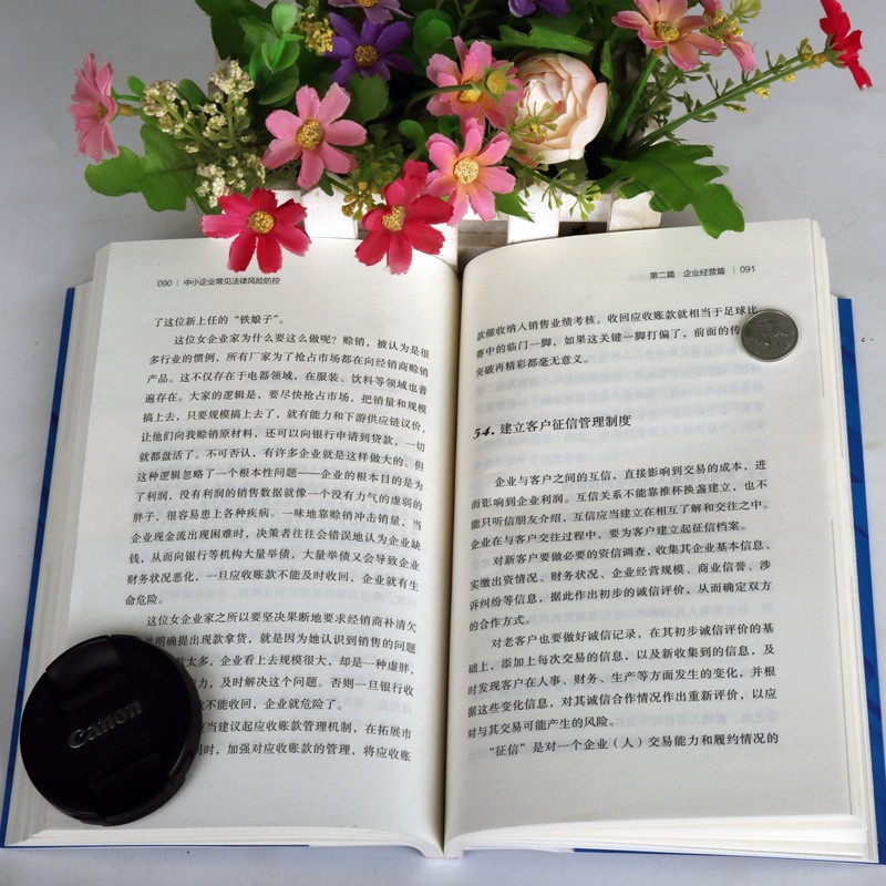 [正版]中小企业常见法律风险防控 企业管理风险防控法律书籍 法律常识一本全 民间企业融资公司风险投资追索债权常见法律风高清大图