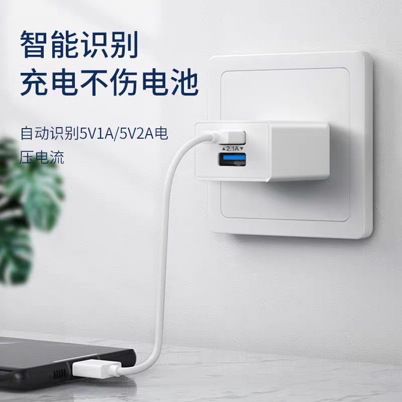 纽曼(Newmine)双口充头CH202苹果14华为小米手机平板ipad安卓充电器插头多口usb据线5V 2个起订高清大图