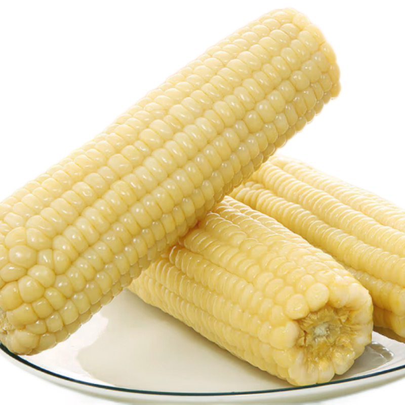 禾园常东北玉米当年新玉米口感脆甜 8棒/箱