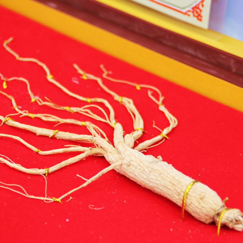 东北吉林人参礼盒装长白山人参礼盒批发东北人参礼盒会销礼品