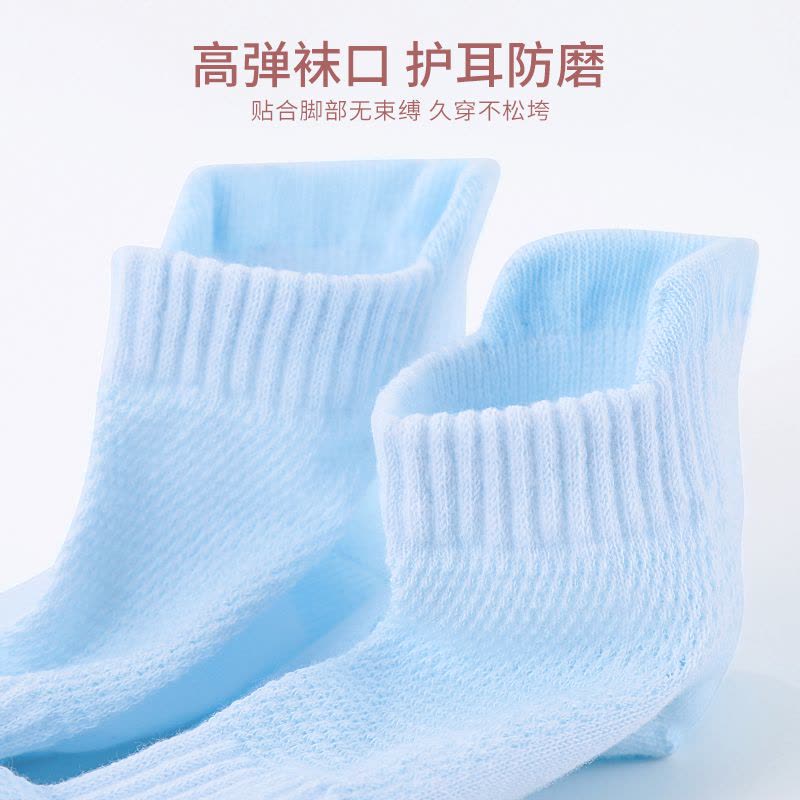 袜子女船袜不掉跟夏季薄款2025新款纯棉防臭网眼透气女士短袜浪莎图片